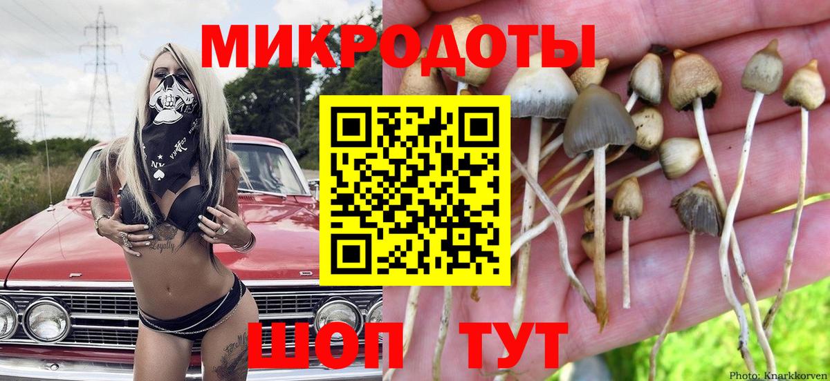 Псилоцибиновые грибы ЛСД  закладки  Ртищево  Вход с VPN  Псилоцибиновые грибы ЛСД 